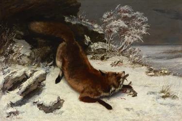 Fox in the Snow